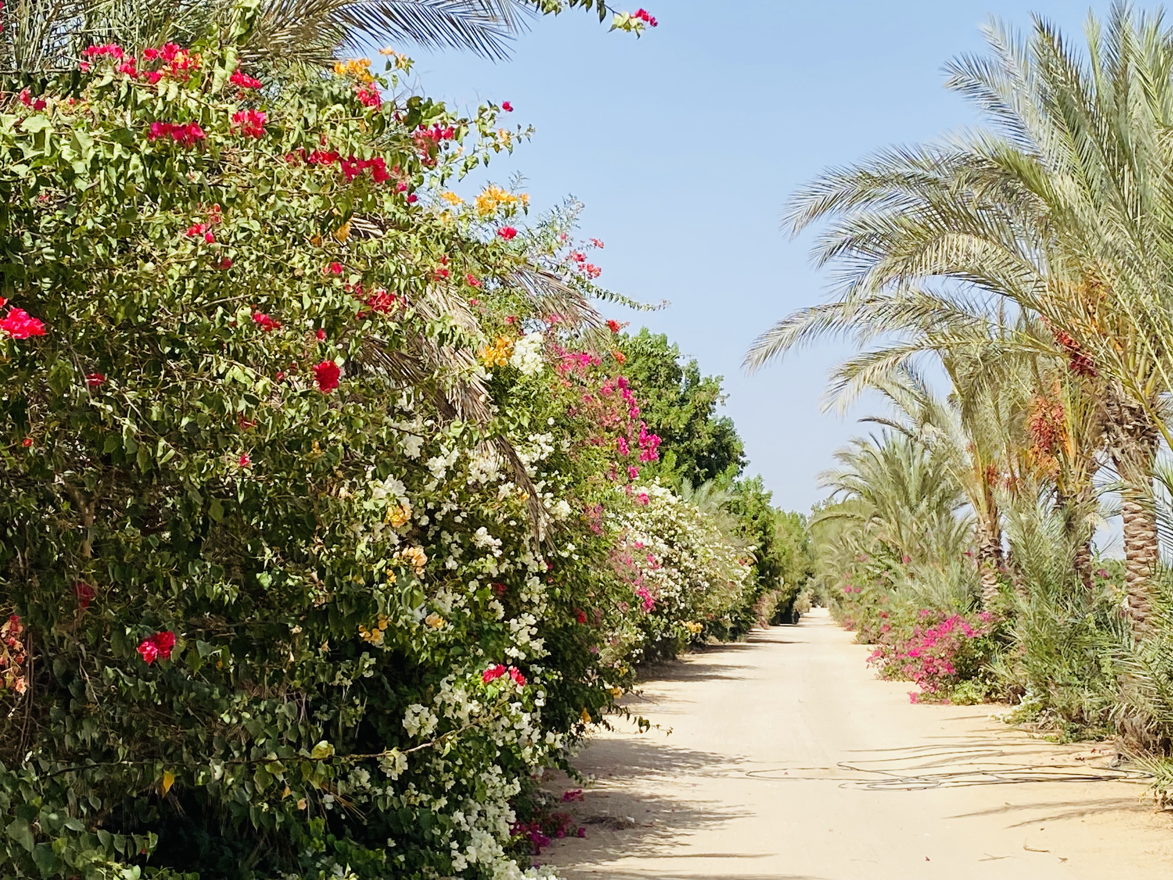 159 پکار کا نکھار